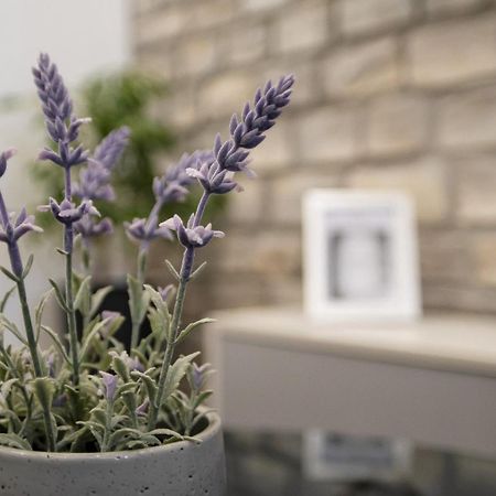 Apartment Stela - Private Terrace & Parking ザダル エクステリア 写真